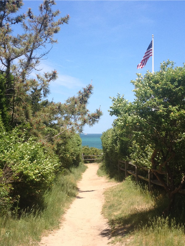 The path to Steps beach in Nantucket makes for a lovely walk